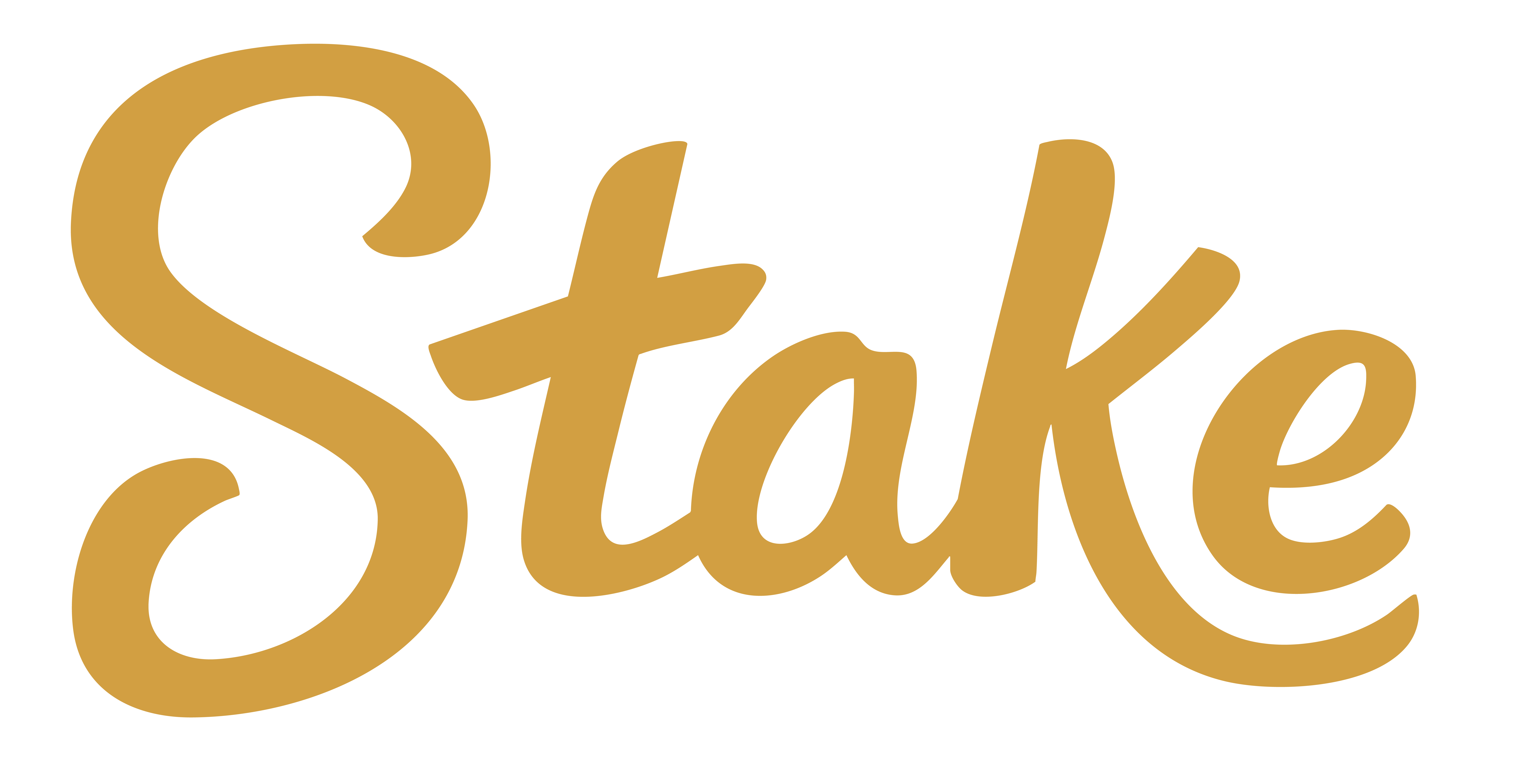 Stake Logo