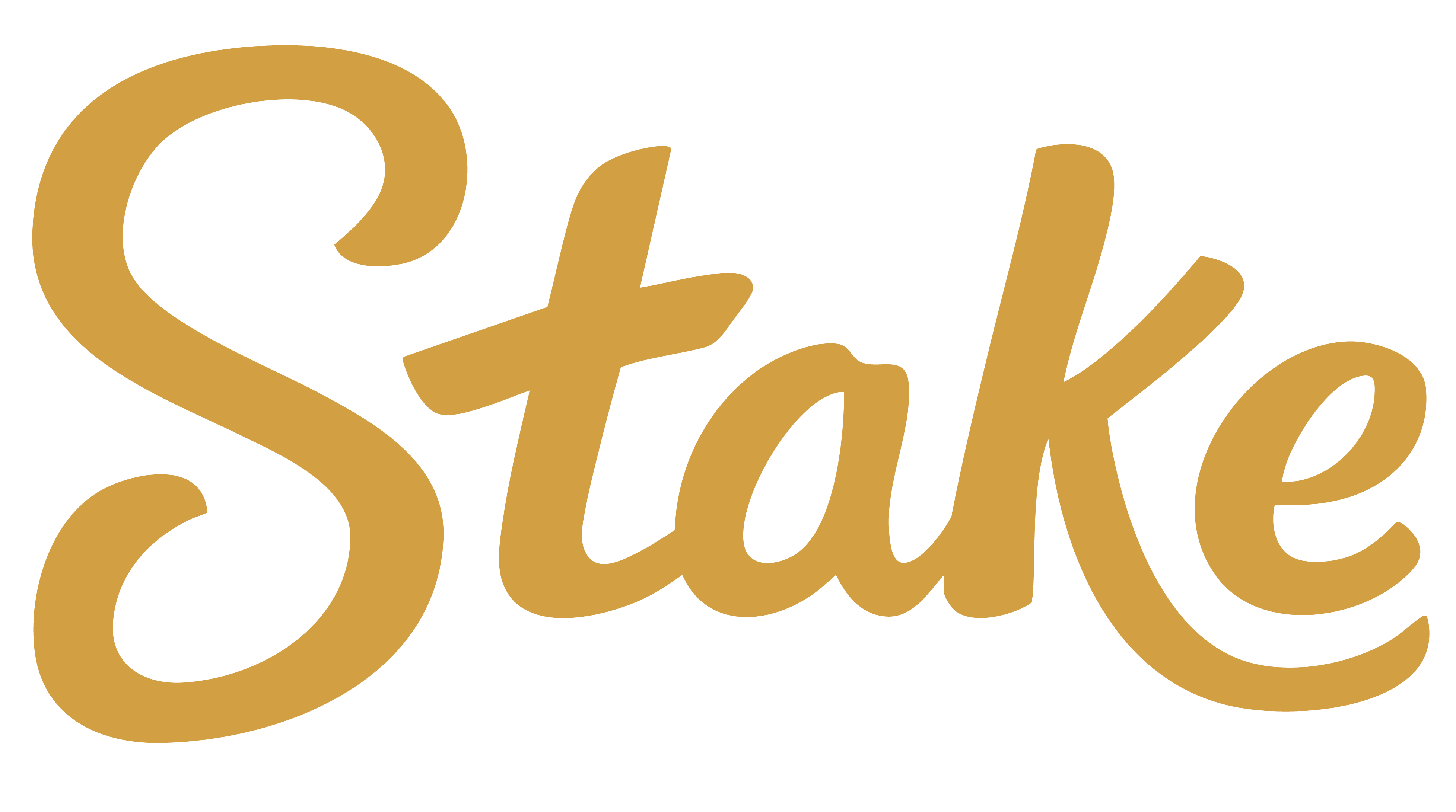 Stake Logo